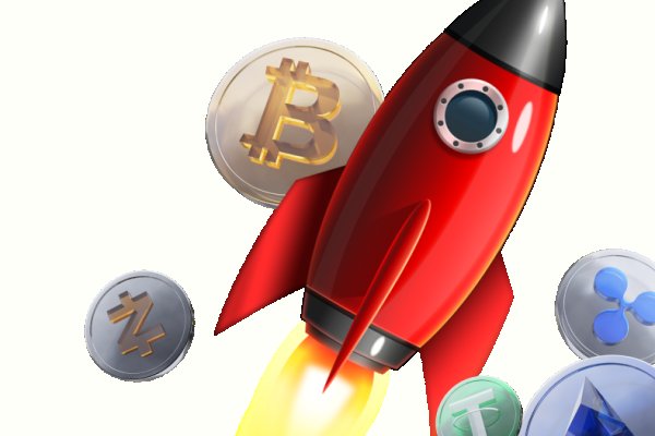 Где купить котиков для начинающих