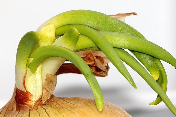 Официальный krab8 at