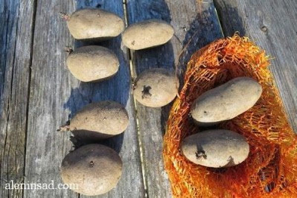 Эффективные решения через krab7 cc